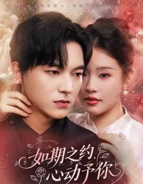 如期之约心动予你(82集全)权睿&魏天浩-搜外项目网