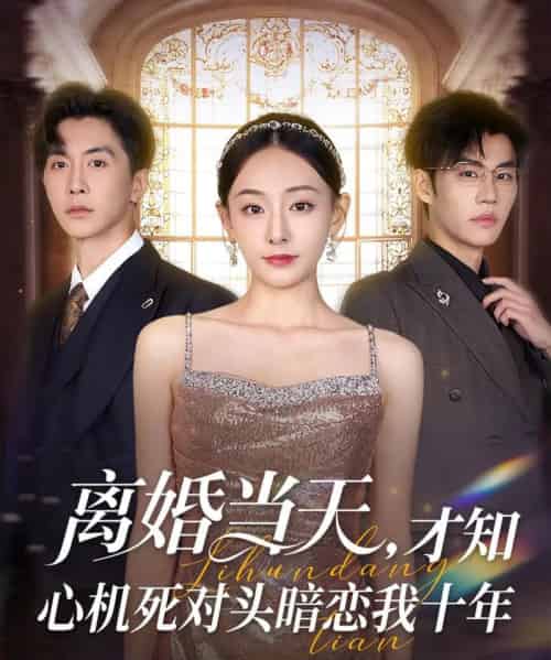 离婚当天才知心机死对头暗恋我十年(90集)鞠可儿&刘承林-搜外项目网