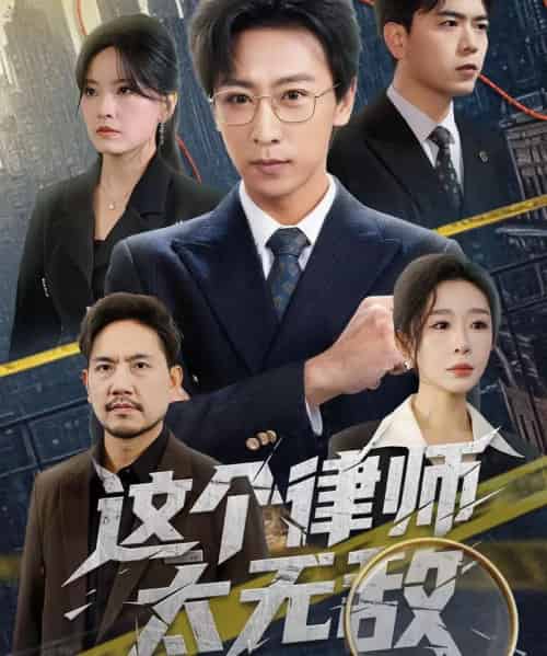 这个律师太无敌(67集全)李星辰&任燕-搜外项目网