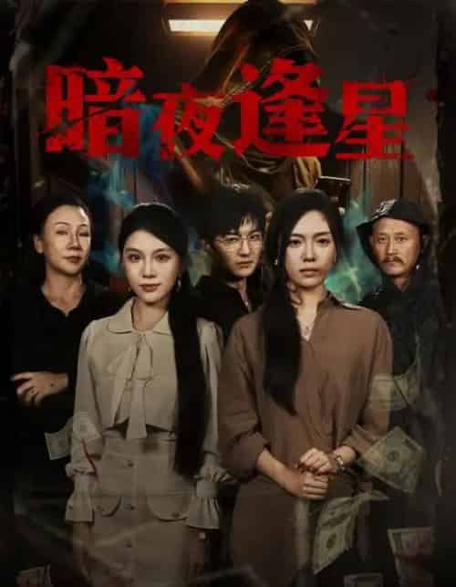 暗夜逢星（67集全）王泽轩＆陈墁柯-搜外项目网