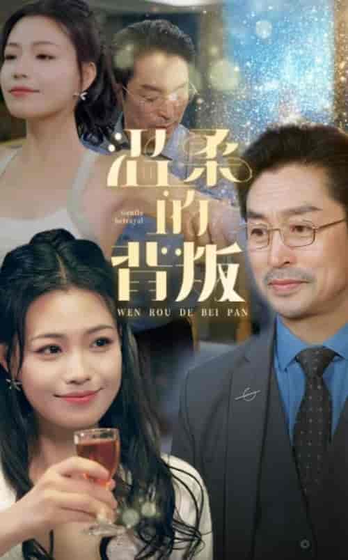 温柔的背叛（47集全）擦边剧-搜外项目网