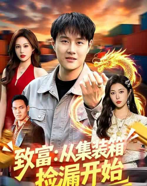 致富:从集装箱捡漏开始(94集全)傅思童&邓希-搜外项目网