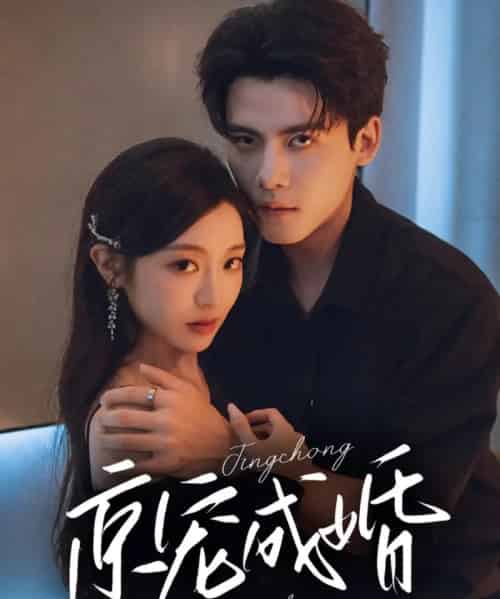 京宠成婚（79集）陈刚＆陈辞-搜外项目网