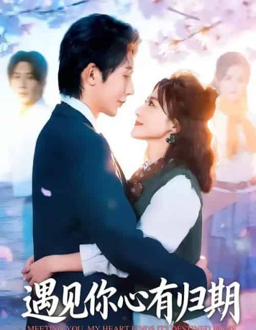 遇见你心有归期（81集全）桑岂＆闫聪-搜外项目网