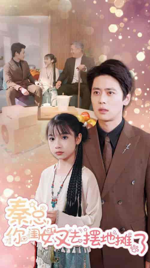 秦总你闺女又去摆地摊了（45集全）尹一博-搜外项目网