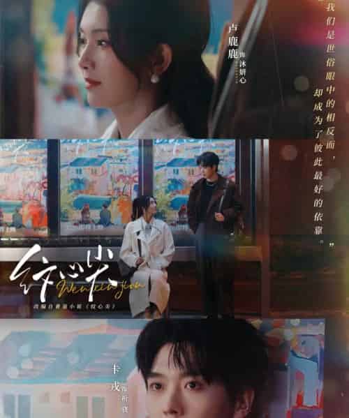 纹心尖（65集全）卡戎＆卢鹿鹿-搜外项目网