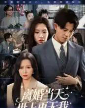 离婚当天世上再无我（60集全）董劭辉-搜外项目网