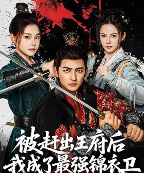 被赶出王府后我成了最强锦衣卫（80集）杜江山＆一然-搜外项目网