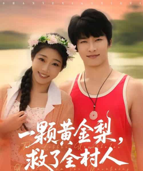 山野小邪医&一颗黄金梨救了全村人(88集全)王泊渊&齐惠昭-搜外项目网