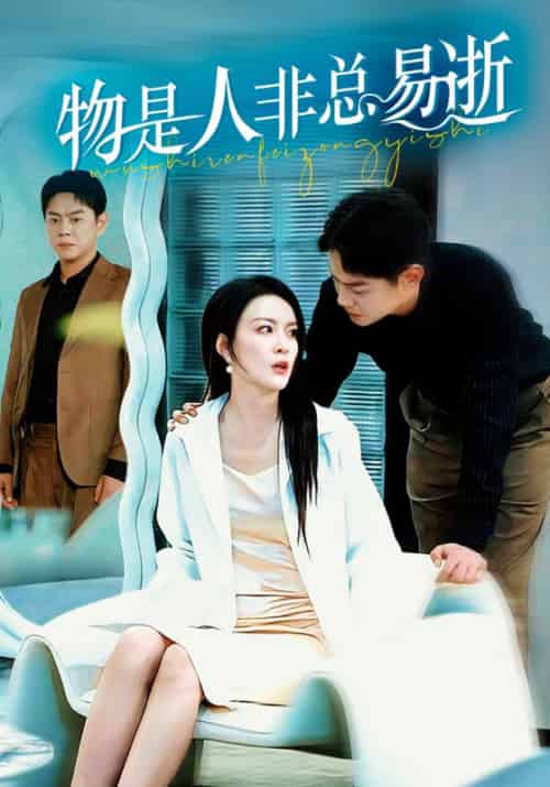 物是人非总易逝(50集全)顾远&时念-搜外项目网