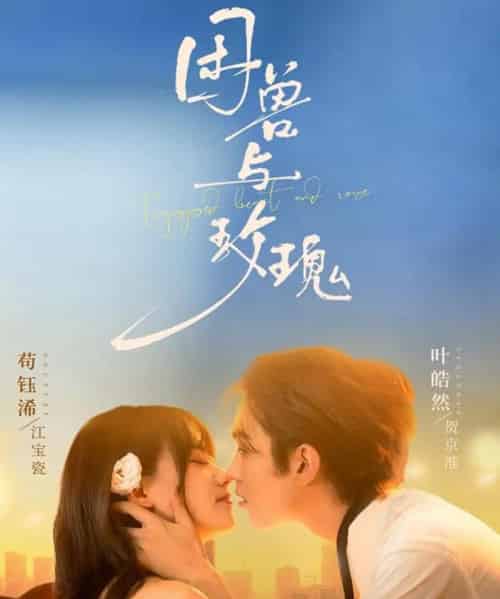 困兽与玫瑰（90集全）叶皓然＆苟钰浠-搜外项目网