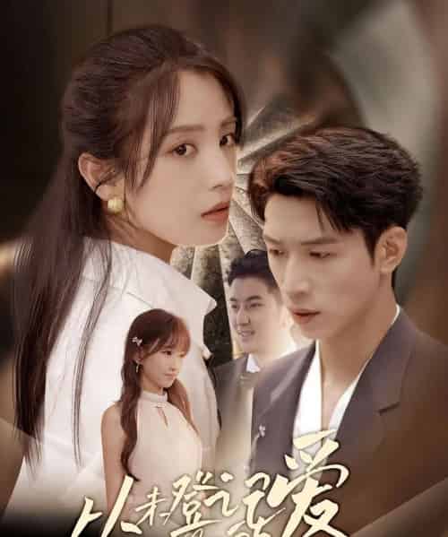 从未登记的爱 （50集） 宋暖＆魏彩云-搜外项目网