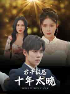 君子报恩十年太晚(79集)杨景景-搜外项目网