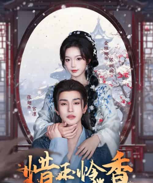 惜玉怜香（85集）张翅＆金雅娜-搜外项目网