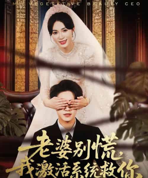 老婆别慌，我激活系统救你（80集全）孙航＆柯珂-搜外项目网