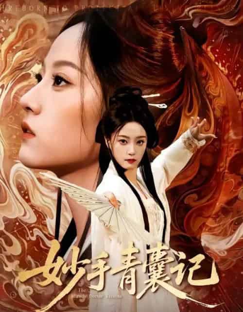 妙手青囊记（61集全）李铭＆林动动-搜外项目网