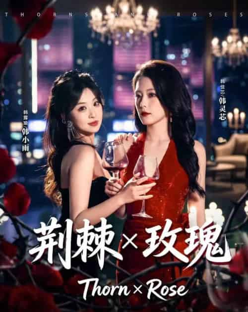 荆棘X玫瑰（59集全）韩佳芯＆韩露瑜-搜外项目网