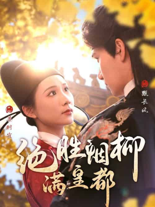 绝胜烟柳满皇都（60集全）徐航＆曹嘉怡-搜外项目网