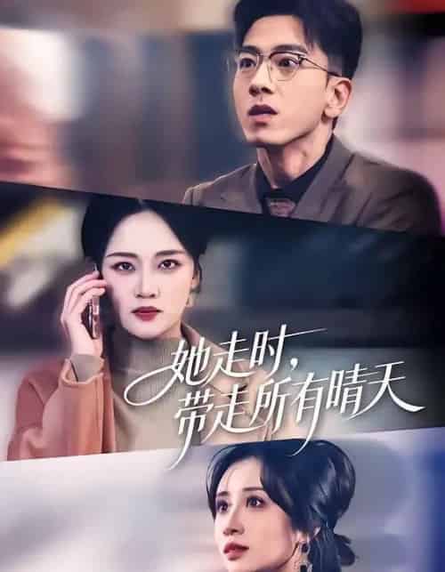 她走时，带走所有晴天（78集全）孙飞翔＆罗玮-搜外项目网