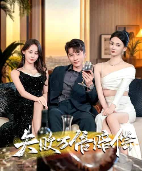 失败万倍赔偿（83集全）陈彦霖＆姜悦-搜外项目网