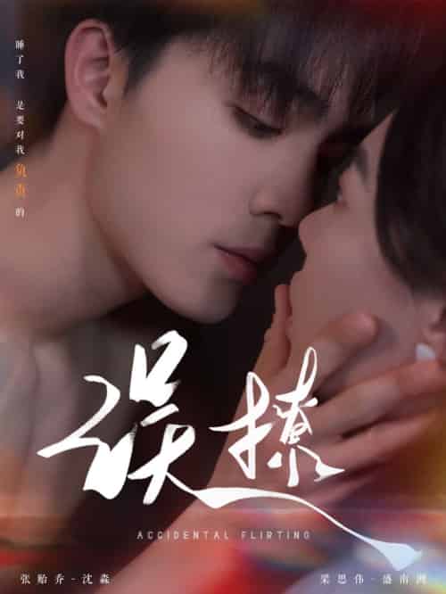 再次倾心&误撩(74集)梁思伟&张贻乔-搜外项目网