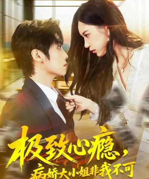 极致心瘾，病娇大小姐非我不可（80集全）傅宇航＆姜一朵-搜外项目网