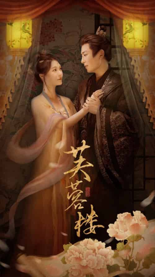 芙蓉楼（50集全）郑晨雨＆星硕-搜外项目网