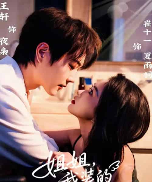 姐姐，我装的（74集全）王轩＆崔十一-搜外项目网