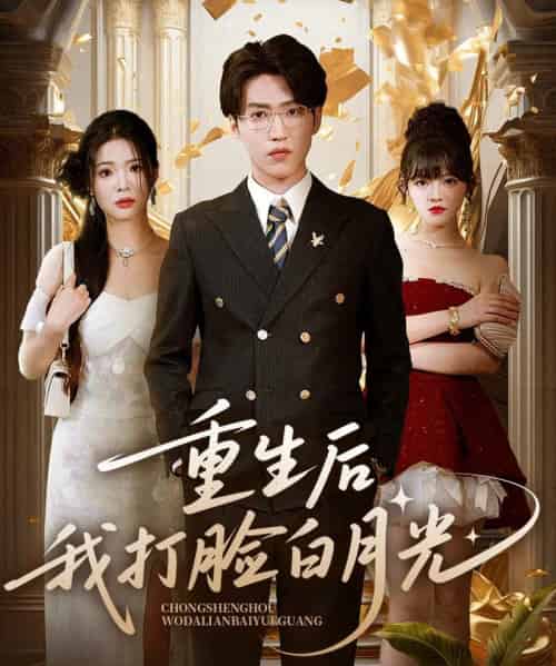 重生后我打脸白月光(76集)陈含&天天-搜外项目网