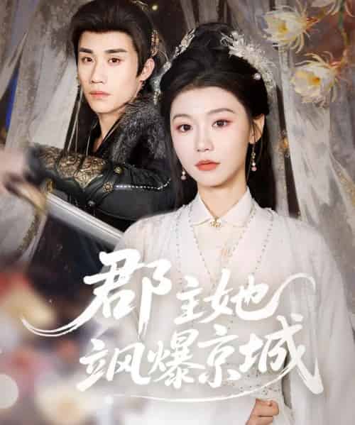 郡主她飒爆京城（56集全）童羿琅＆何田田-搜外项目网