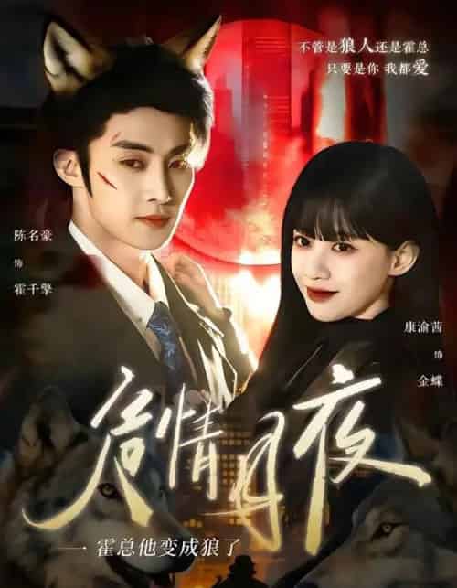 危情月夜：霍总他变成狼了（70集全）陈名豪＆康渝茜-搜外项目网