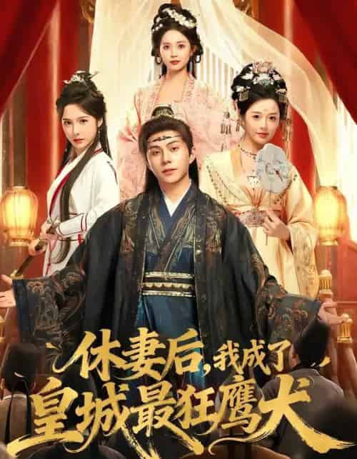 休妻后，我成了皇城最狂鹰犬（80集全）李可乐＆刘金妍-搜外项目网