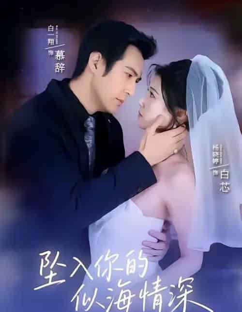 坠入你的似海情深（67集全）白一翔＆杨晓婷-搜外项目网