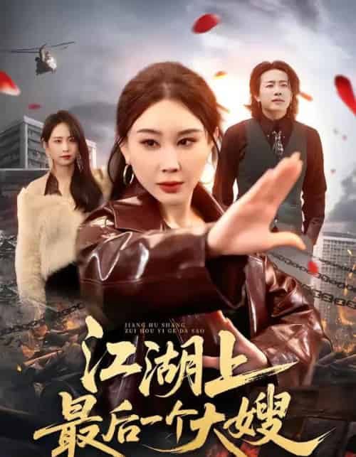 江湖上最后一个大嫂（32集全）王奕斐＆王耀廷-搜外项目网