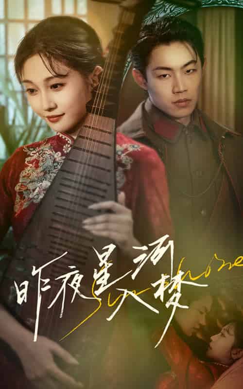 昨夜星河入梦（60集全）宋佳音＆敖日格乐-搜外项目网