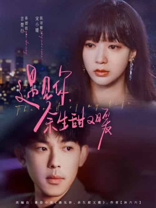 遇见你余生甜又暖（70集全）蒋熠铭＆陈诗敏-搜外项目网