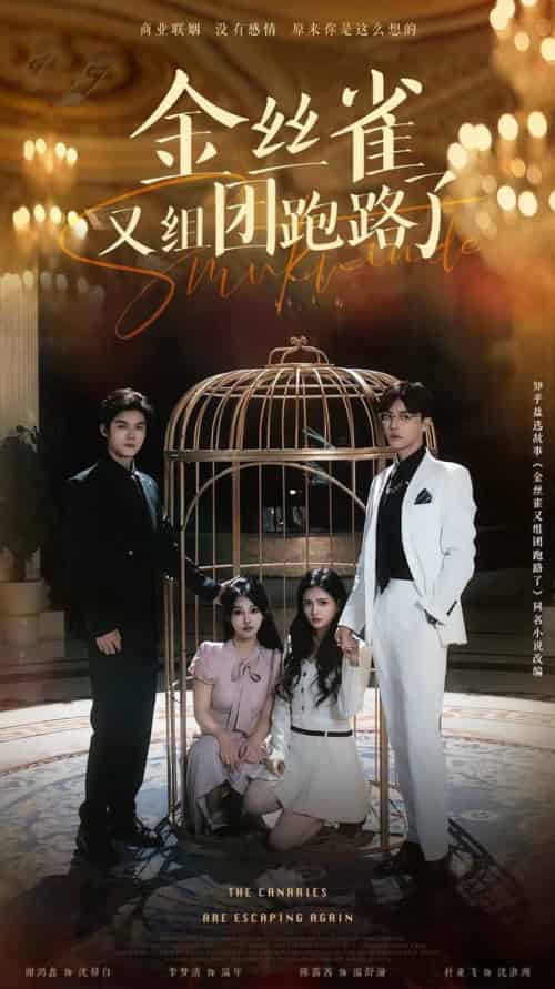 金丝雀又组团跑路了（长篇）谢鸿鑫＆杜亚飞-搜外项目网
