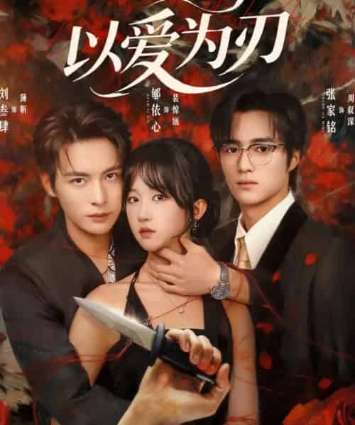 以爱为刃（69集全）刘叁肆＆郇依心-搜外项目网
