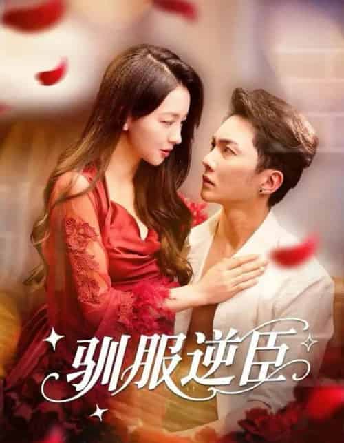 驯服逆臣（80集全）黄圣桀＆张婉悦-搜外项目网