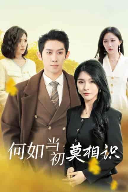 何如当初莫相识（36集全）彭羽-搜外项目网