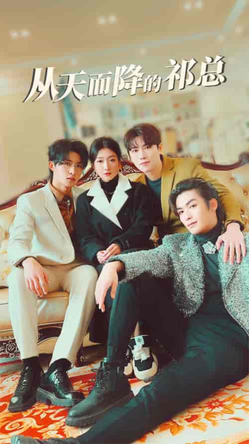 从天而降的祁总(97集)王格格 张集骏-搜外项目网