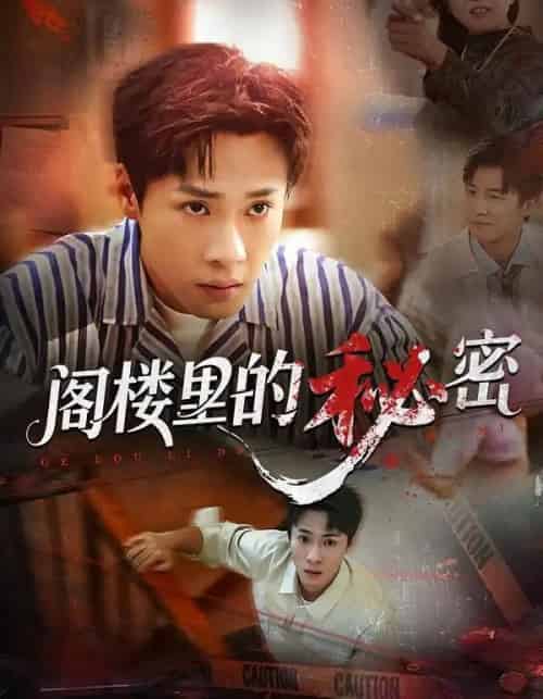 阁楼里的秘密（76集全）黄佳俊＆靳坤＆吴胤皓-搜外项目网