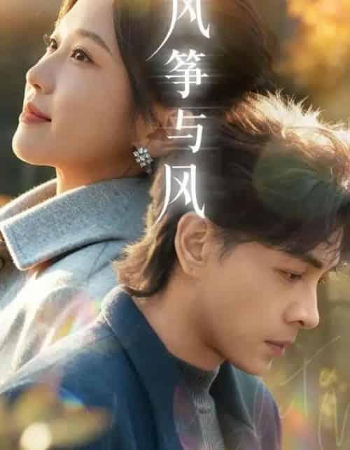 风筝与风（70集全）洪尧＆尤洋-搜外项目网