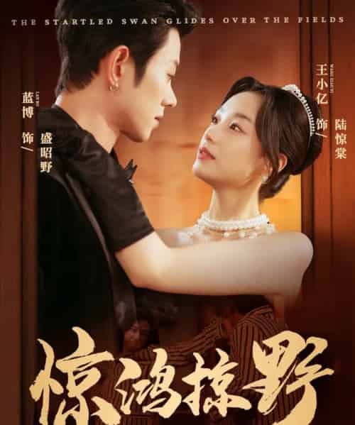 惊鸿掠野(62集全)蓝博&王小亿-搜外项目网