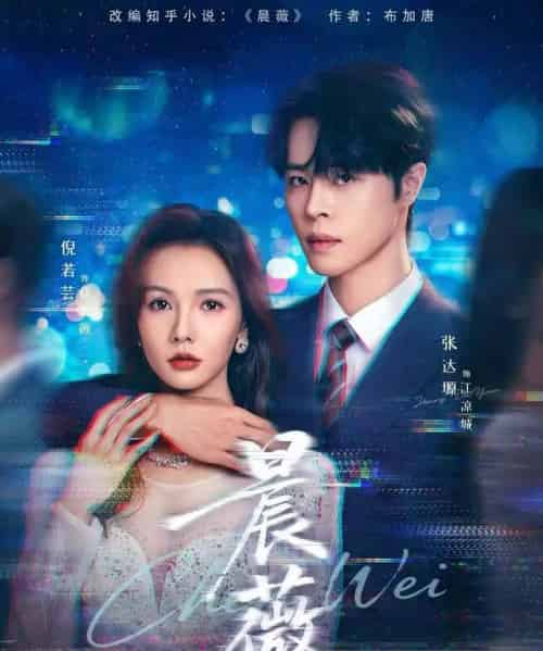 晨薇（61集全）张达塬＆倪若芸-搜外项目网