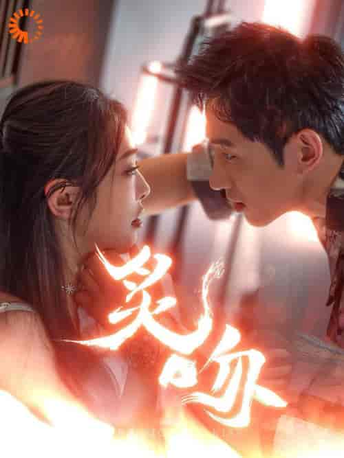 炙吻(101集全)王凯沐&权书娴-搜外项目网