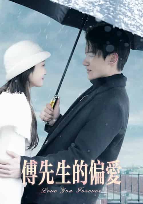 傅先生的偏爱（83集全）傅辰爵＆余薇-搜外项目网