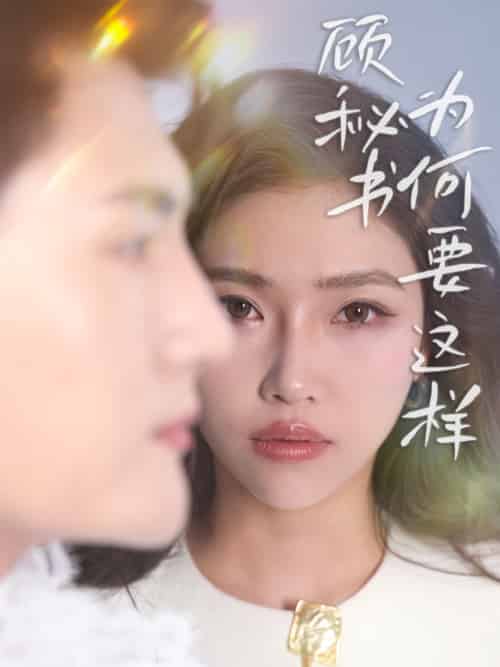 顾秘书为何要这样（53集）赵佳伟＆骆虹宇-搜外项目网