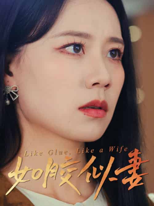 如胶似妻（50集）王艳秋-搜外项目网
