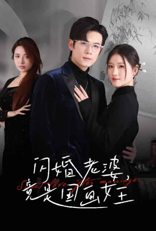 闪婚老婆竟是国画女王（65集）葛子杨＆温明妍-搜外项目网